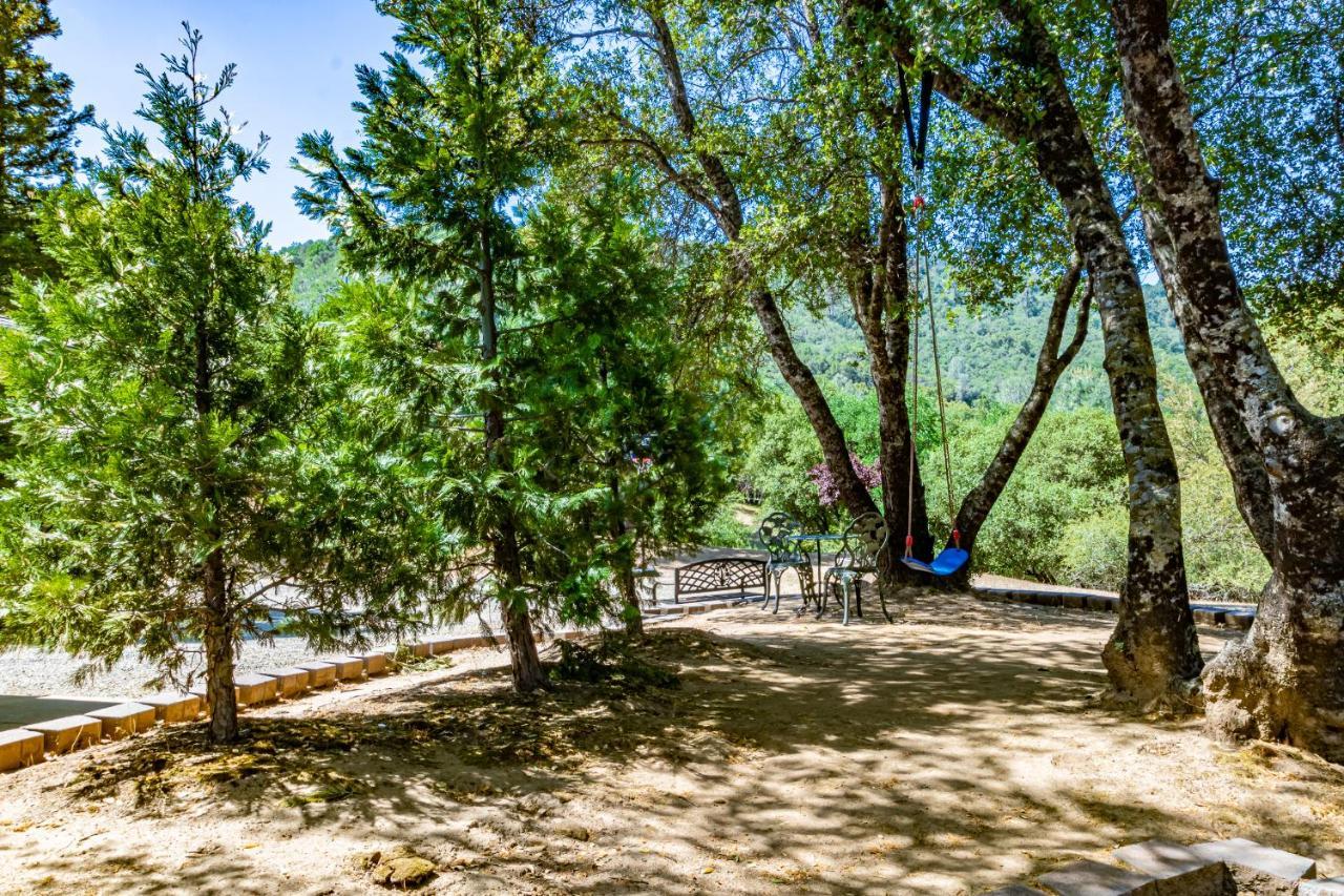 Spectacular Views W/ Hot Tub/Bbq -Yosemite & Bass Lake 오크허스트 외부 사진
